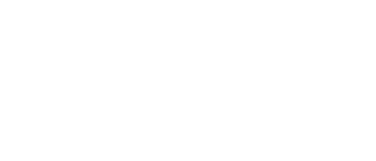 Universidad de Chile